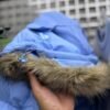 5956144656666005352 JACKET SUPREME